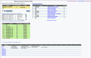 Screenshot of the auction tool